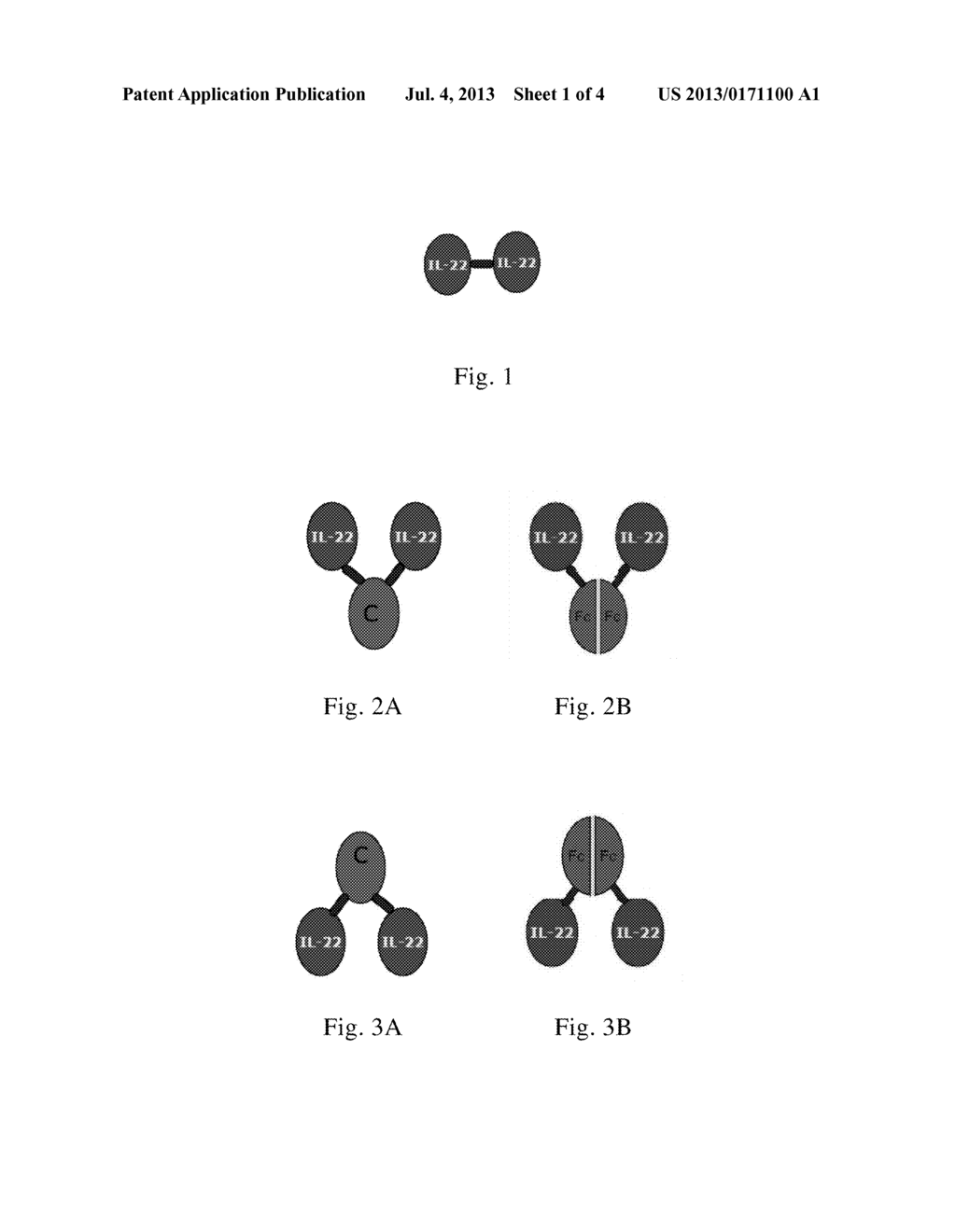 USE OF INTERLEUKIN-22 IN TREATING VIRAL HEPATITIS - diagram, schematic, and image 02