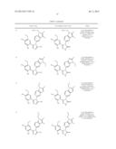 CANCER THERAPY USING A COMBINATION OF A HSP90 INHIBITORY COMPOUND AND A     TOPOISOMERASE II INHIBITOR diagram and image