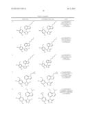 CANCER THERAPY USING A COMBINATION OF A HSP90 INHIBITORY COMPOUND AND A     TOPOISOMERASE II INHIBITOR diagram and image