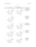 CANCER THERAPY USING A COMBINATION OF A HSP90 INHIBITORY COMPOUND AND A     TOPOISOMERASE II INHIBITOR diagram and image