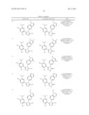 CANCER THERAPY USING A COMBINATION OF A HSP90 INHIBITORY COMPOUND AND A     TOPOISOMERASE II INHIBITOR diagram and image