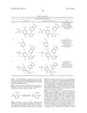 CANCER THERAPY USING A COMBINATION OF A HSP90 INHIBITORY COMPOUND AND A     TOPOISOMERASE II INHIBITOR diagram and image