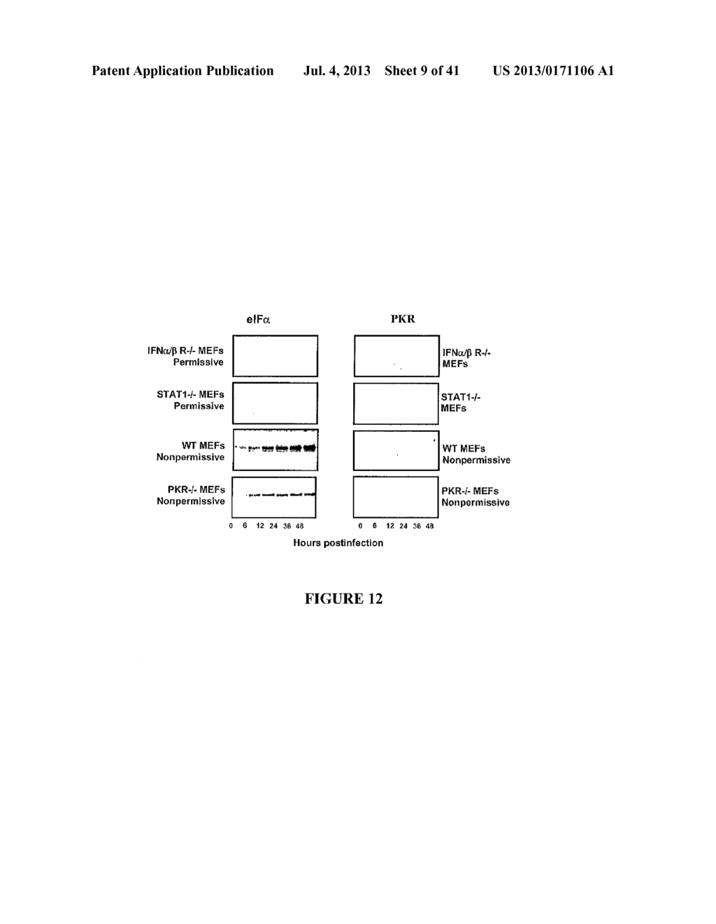 USE OF A COMBINATION OF MYXOMA VIRUS AND RAPAMYCIN FOR THERAPEUTIC     TREATMENT - diagram, schematic, and image 10