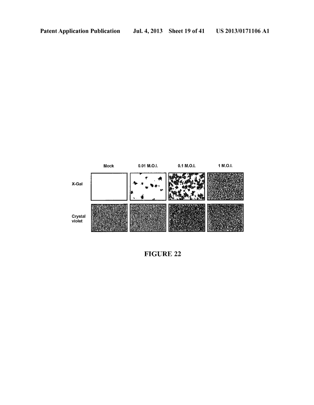 USE OF A COMBINATION OF MYXOMA VIRUS AND RAPAMYCIN FOR THERAPEUTIC     TREATMENT - diagram, schematic, and image 20