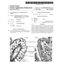 MATURATION OF GASTROINTESTINAL TRACT diagram and image