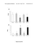 MATURATION OF GASTROINTESTINAL TRACT diagram and image