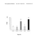 MATURATION OF GASTROINTESTINAL TRACT diagram and image