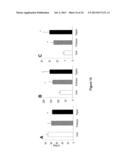 MATURATION OF GASTROINTESTINAL TRACT diagram and image