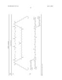 COMPOSITION FOR REGENERATING NORMAL TISSUE FROM FIBROTIC TISSUE diagram and image