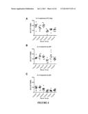 CONSTRAINED IMMUNOGENIC COMPOSITIONS AND USES THEREFOR diagram and image