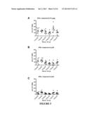 CONSTRAINED IMMUNOGENIC COMPOSITIONS AND USES THEREFOR diagram and image