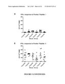 CONSTRAINED IMMUNOGENIC COMPOSITIONS AND USES THEREFOR diagram and image