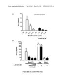 CONSTRAINED IMMUNOGENIC COMPOSITIONS AND USES THEREFOR diagram and image