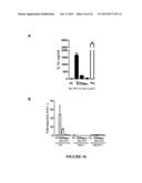 CONSTRAINED IMMUNOGENIC COMPOSITIONS AND USES THEREFOR diagram and image