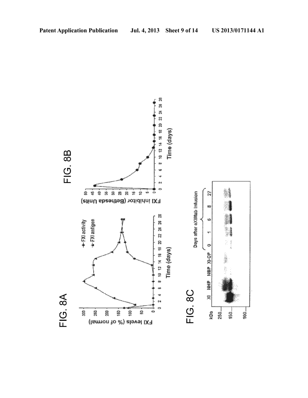 ANTI-FACTOR XI MONOCLONAL ANTIBODIES AND METHODS OF USE THEREOF - diagram, schematic, and image 10