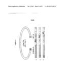 DUAL-SPECIFIC IL-1A/ IL-1B ANTIBODIES diagram and image