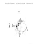 DUAL-SPECIFIC IL-1A/ IL-1B ANTIBODIES diagram and image