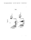 DUAL-SPECIFIC IL-1A/ IL-1B ANTIBODIES diagram and image