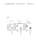 Galacto-rhamnogalacturonate compositions for the treatment of     non-alcoholic steatohepatitis and non-alcoholic fatty liver disease diagram and image