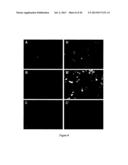 PROTEINS THAT BIND PI16 AND USES THEREOF diagram and image