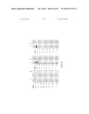 PROTEINS THAT BIND PI16 AND USES THEREOF diagram and image