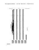 PROTEINS THAT BIND PI16 AND USES THEREOF diagram and image