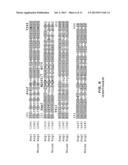 ANTIBODIES DIRECTED TO ANGIOPOIETIN-2 AND USES THEREOF diagram and image