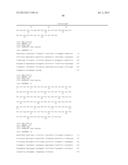 ANTIBODIES DIRECTED TO ANGIOPOIETIN-2 AND USES THEREOF diagram and image