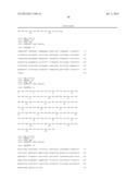 ANTIBODIES DIRECTED TO ANGIOPOIETIN-2 AND USES THEREOF diagram and image