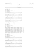 ANTIBODIES DIRECTED TO ANGIOPOIETIN-2 AND USES THEREOF diagram and image