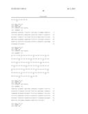 ANTIBODIES DIRECTED TO ANGIOPOIETIN-2 AND USES THEREOF diagram and image