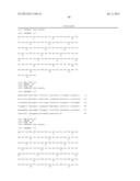 ANTIBODIES DIRECTED TO ANGIOPOIETIN-2 AND USES THEREOF diagram and image