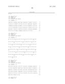 ANTIBODIES DIRECTED TO ANGIOPOIETIN-2 AND USES THEREOF diagram and image