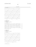 ANTIBODIES DIRECTED TO ANGIOPOIETIN-2 AND USES THEREOF diagram and image