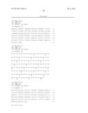 ANTIBODIES DIRECTED TO ANGIOPOIETIN-2 AND USES THEREOF diagram and image