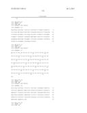 ANTIBODIES DIRECTED TO ANGIOPOIETIN-2 AND USES THEREOF diagram and image