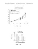 ANTIBODIES DIRECTED TO ANGIOPOIETIN-2 AND USES THEREOF diagram and image