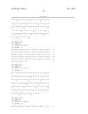 ANTIBODIES DIRECTED TO ANGIOPOIETIN-2 AND USES THEREOF diagram and image