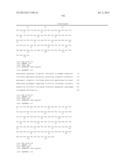 ANTIBODIES DIRECTED TO ANGIOPOIETIN-2 AND USES THEREOF diagram and image