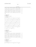 ANTIBODIES DIRECTED TO ANGIOPOIETIN-2 AND USES THEREOF diagram and image