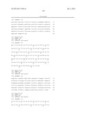 ANTIBODIES DIRECTED TO ANGIOPOIETIN-2 AND USES THEREOF diagram and image