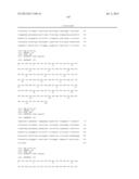 ANTIBODIES DIRECTED TO ANGIOPOIETIN-2 AND USES THEREOF diagram and image