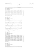 ANTIBODIES DIRECTED TO ANGIOPOIETIN-2 AND USES THEREOF diagram and image