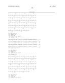 ANTIBODIES DIRECTED TO ANGIOPOIETIN-2 AND USES THEREOF diagram and image