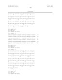 ANTIBODIES DIRECTED TO ANGIOPOIETIN-2 AND USES THEREOF diagram and image