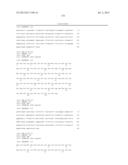 ANTIBODIES DIRECTED TO ANGIOPOIETIN-2 AND USES THEREOF diagram and image