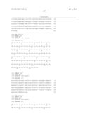 ANTIBODIES DIRECTED TO ANGIOPOIETIN-2 AND USES THEREOF diagram and image