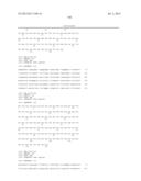 ANTIBODIES DIRECTED TO ANGIOPOIETIN-2 AND USES THEREOF diagram and image