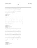 ANTIBODIES DIRECTED TO ANGIOPOIETIN-2 AND USES THEREOF diagram and image