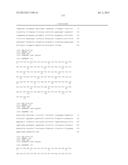 ANTIBODIES DIRECTED TO ANGIOPOIETIN-2 AND USES THEREOF diagram and image